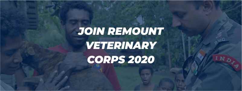 Join Remount Veterinary Corps 2020
