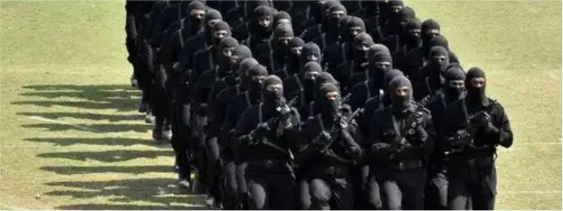 NSG commandos may be trained to counter lone wolf Islamic State attack on  Kumbh Mela | India News | Zee News