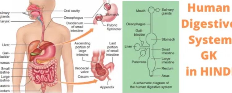 Important biology topics for MNS Exam 2021.