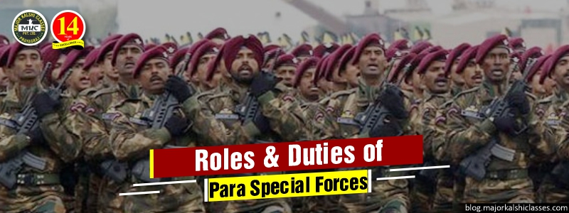 Role Responsibilities of PARA Special Forces (PARA SF).